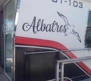 Albatros-12